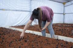 江华涛圩镇：打造食用菌产业园  优化营商环境  助力乡村振兴