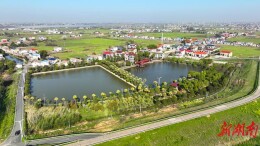 720.5亿元！岳阳聚乡贤之力推动乡村振兴