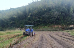 溪口镇：稻油轮作让“冬闲田”变“增收田”