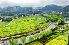 “庭院经济”助力乡村振兴