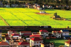 慈利：挺起乡村振兴的脊梁