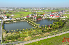 720.5亿元！岳阳聚乡贤之力推动乡村振兴