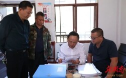 田刚督查万佛山镇乡村振兴和重点项目建设