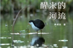 声音的唤醒——读肖辉跃散文集《醒来的河流》