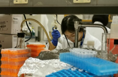 画像·创新组｜郭也也：与“黑恶势力”——黑色素瘤作斗争