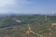 江华：霜降到  油茶采摘正当时  助力营商环境优化