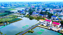 靖港镇：沃土展丰饶 古镇绘新章