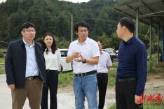 中林集团来我县考察调研乡村振兴工作