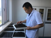 白沙溪获批省级“茶叶加工高级专家工作室”