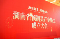 湘预湘菜，引领未来——湖南省预制菜产业协会成立大会圆满召开