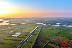 坦渡镇：环境整治焕新颜  粮食增产鱼米香