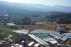 江华：管护好草莓种出好“钱”景，营商环境强优化