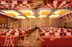 视频 | 湖南省预制菜产业协会成立