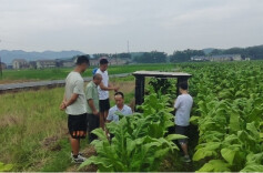 画像·创新组｜孙超然：从“爱好者”到“农业机械大师”