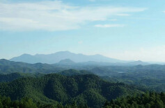 故里山花烂漫开