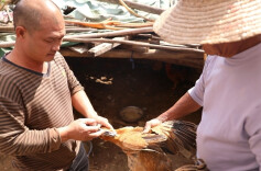 江华：做好秋季动物“预防针”筑牢畜牧防疫“安全网”，优化畜牧业营商环境