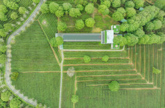 精准扶贫首倡地 锦绣山河如画美——湖南抓好脱贫攻坚和乡村振兴有效衔接综述