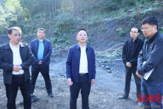 田刚调研督导绿色矿山建设和标准化厂房建设