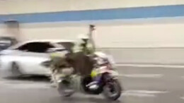 郑州早高峰惊现鸵鸟狂奔 交警出动铁骑引导