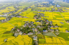 农村物流助力乡村振兴 县乡村三级配送体系加快完善