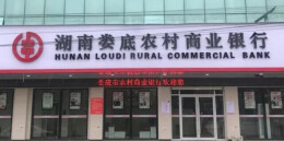 娄底农商银行：整村授信赋能乡村振兴