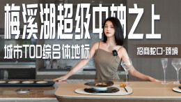 探房vlog丨梅溪湖超级中轴之上，城市TOD综合体地标——招商蛇口·臻境