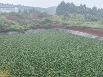 湖南省生态环境厅公布2023年第六批典型案例（免罚轻罚类）