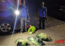 沅陵二酉苗族乡:禁渔巡查常态抓，非法捕捞严打击