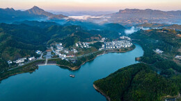 维新镇：脐橙湘莲喜丰收 一村一品绘振兴