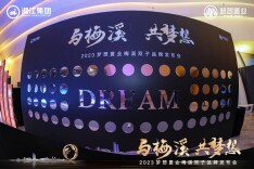 启迪城市未来想象，梦想置业“梅二”双子项目发布