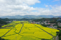 乡村振兴看浏阳丨葛家镇玉潭村：昔日贫困村蔬菜卖出百万元