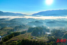 北平村：春华秋实产业兴 美丽乡村入画来