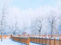 做好“四点”，让你健康温暖度寒冬