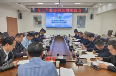临湘市来云溪区对接化工产业协同发展工作