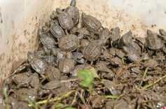 南县青年袁文浩：电商助农，创业之路绽放光彩