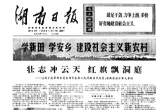 王震视察新田：下农田 推经验