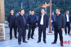 田刚到万佛山镇调研督导乡村振兴及安全生产工作