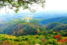 走绿色发展之路！岳阳经开区康王乡以高质量党建引领乡村发展