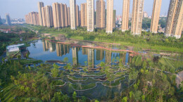 建设幸福河湖｜湖南长沙：优美水环境为经济发展再添新动能