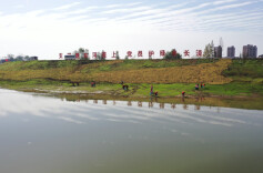 建设幸福河湖｜岳阳华容县将“支部建在河道上” 建设幸福河湖有了坚强保障