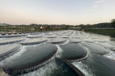 建设幸福河湖｜湖南浏阳：“河长”再发力 助力乡村振兴持续推进