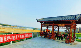 益阳：同心筑梦焕新颜 ——莲花坪村深入推进同心美丽乡村建设纪实