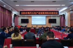 邱虹调研市现代石化产业链规划体系建设和产业发展工作