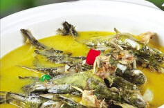 张效雄专栏|全鱼宴，贵在保持本味