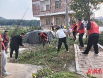 新田：创文巩卫 党员先行