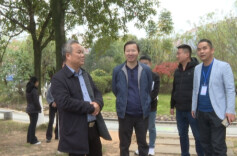 岳阳市委督查室督查三组来云溪区督查“双创”工作