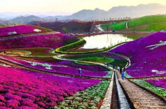 安化，因水而“安”