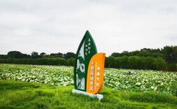 湖南沅江市：同心领航风帆劲 美丽乡村入画来