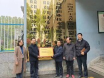 石榴花开遍地红 籽籽同心共筑梦