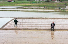 【乡村振兴进行时—见证乡村巨变】 鹤城区大坪村：农旅融合 土地“生金”